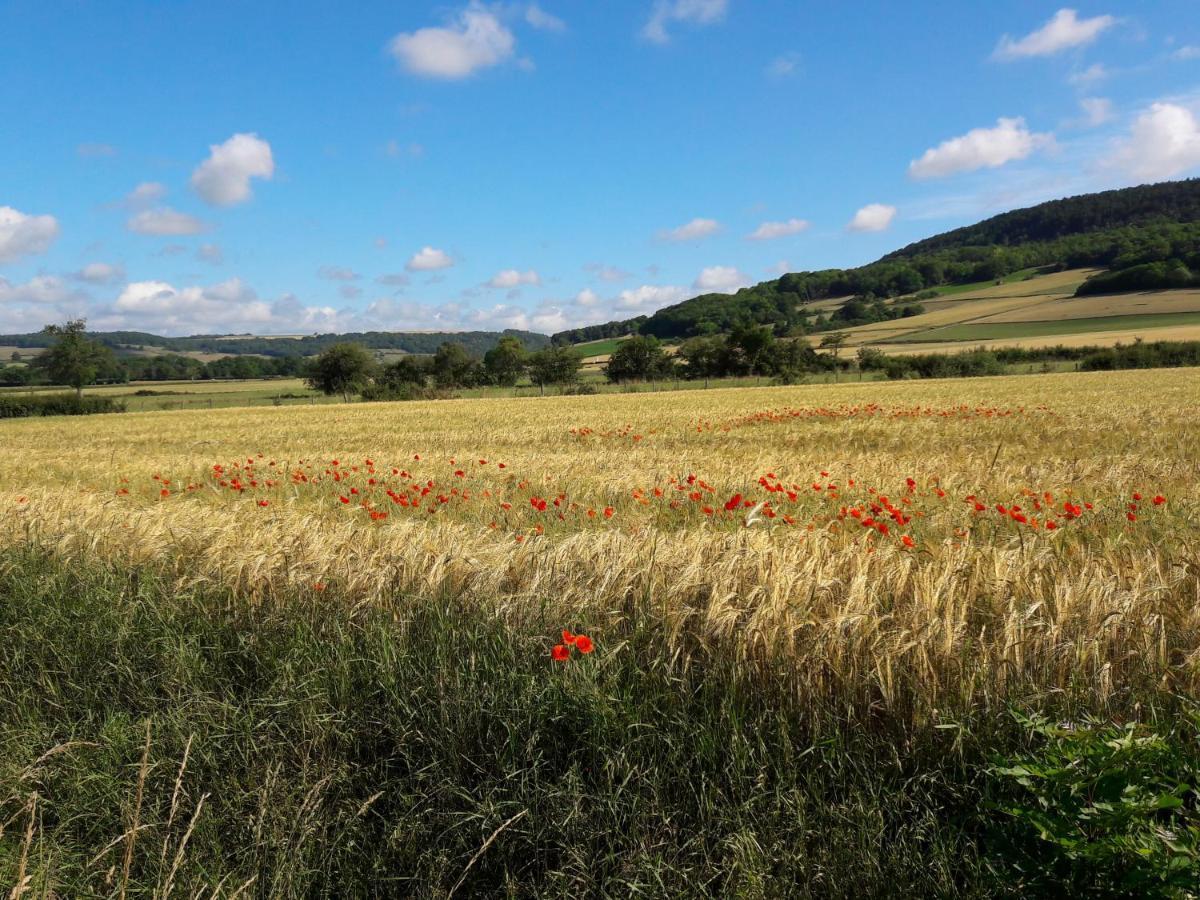 Maison De Campagne Au Coeur De L'Auxois - Tivauche-Le-Haut En Cote D'Or Corsaint Buitenkant foto