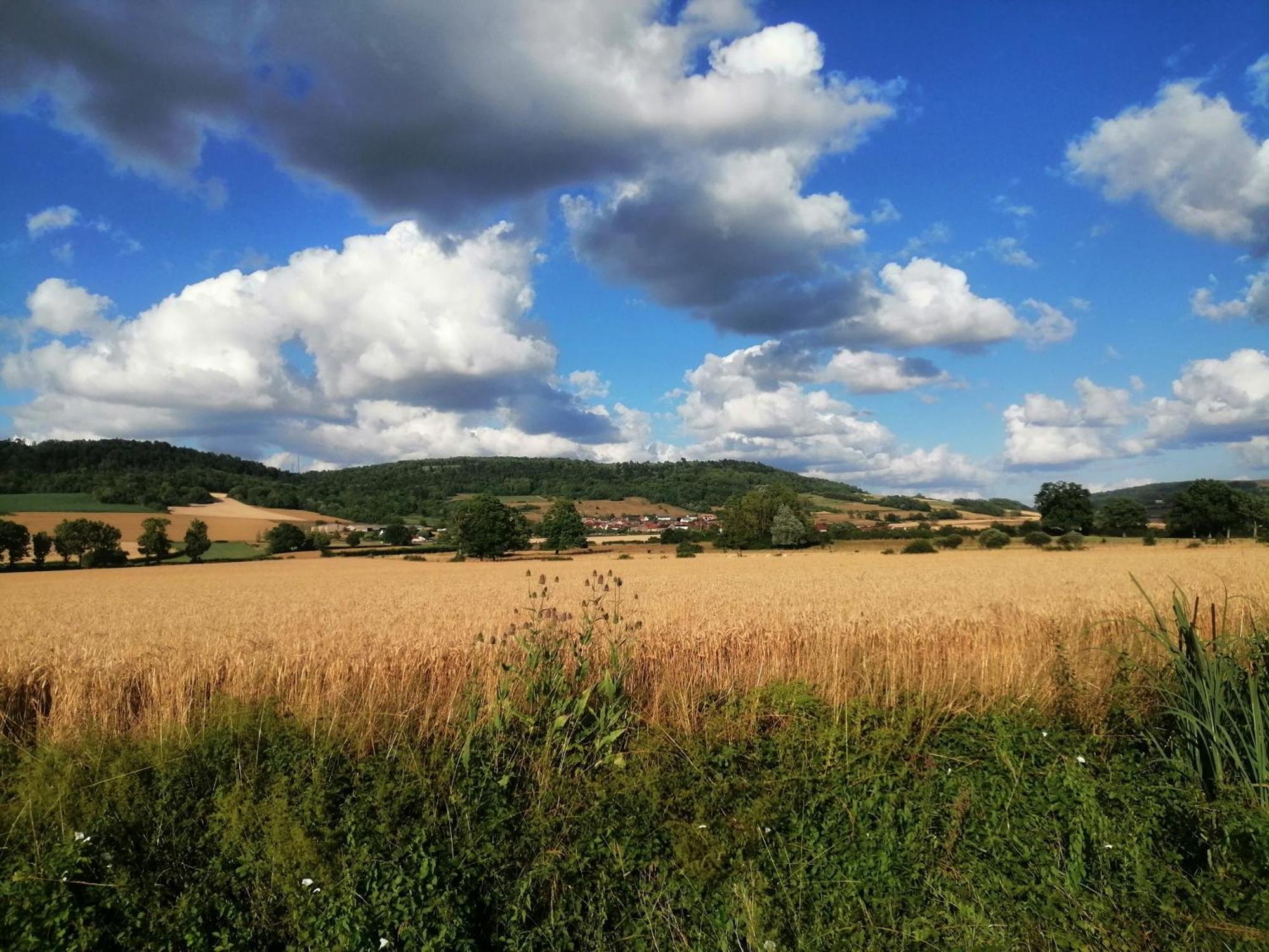Maison De Campagne Au Coeur De L'Auxois - Tivauche-Le-Haut En Cote D'Or Corsaint Buitenkant foto